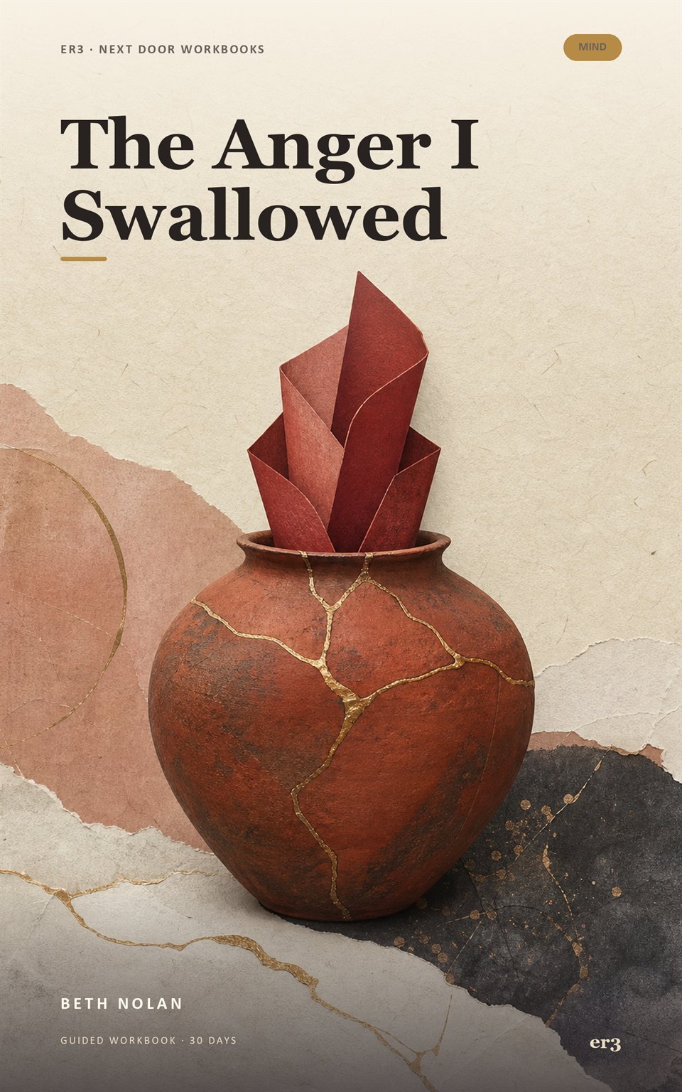 Cover of The Anger I Swallowed